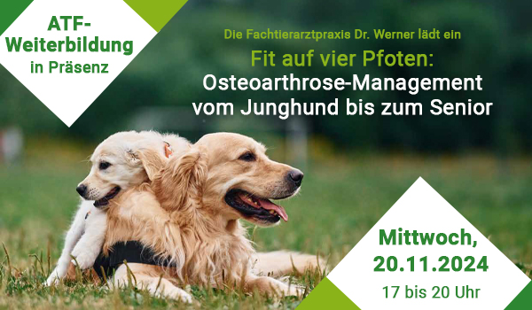 Banner Einladung Fortbildung
