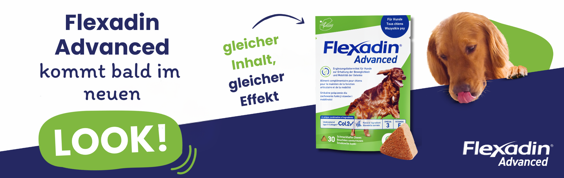 Flexadin Advanced bald im neuen Design: Hund blickt auf neue Verpackung