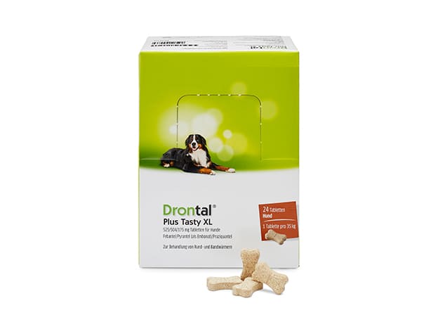 drontal plus tasty xl