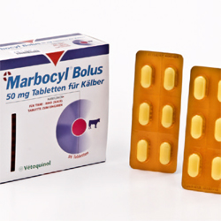 Marbocyl Marbocyl