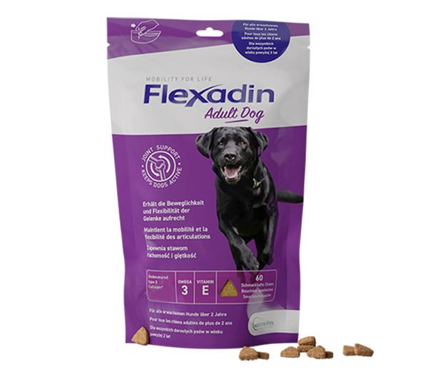 Packshot Flexadin Adult Dog in Lila