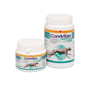 Caniviton Forte Plus für Hunde