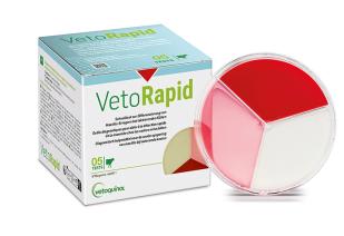 VetoRapid Februar 2025