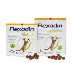 Flexadin Advanced Katze Gruppenbild 2025