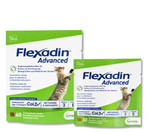 Flexadin Advanced Katze