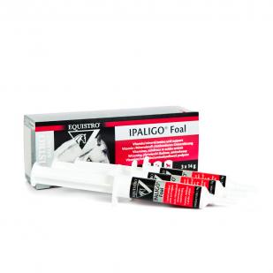 Equistro Ipaligo Foal Equistro Ipaligo Foal