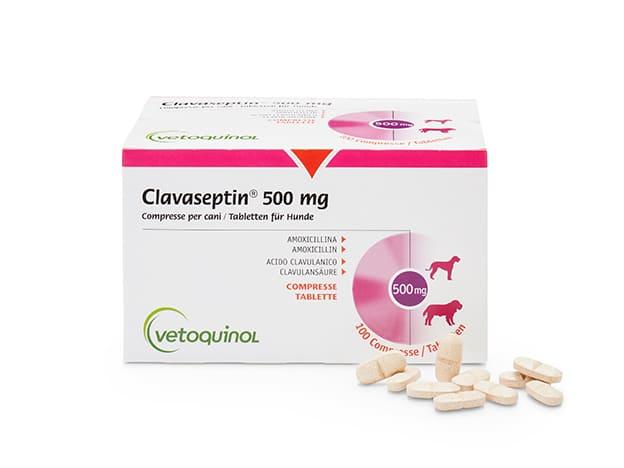Clavaseptin 500 mg Vetoquinol GmbH