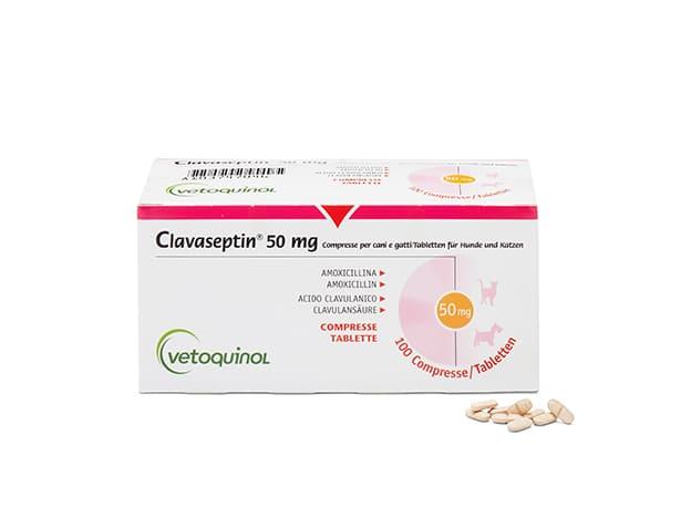 Amoxicillin 200 Mg Für Hunde