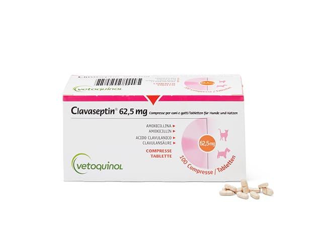 amoxicillin clavulansäure für hunde
