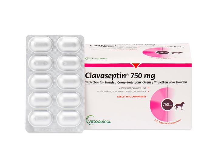 Clavaseptin 750 mg | Vetoquinol GmbH