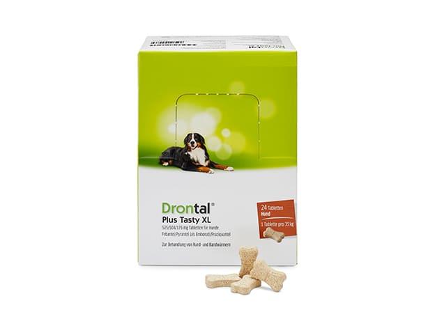 Drontal plus discount tasty xl